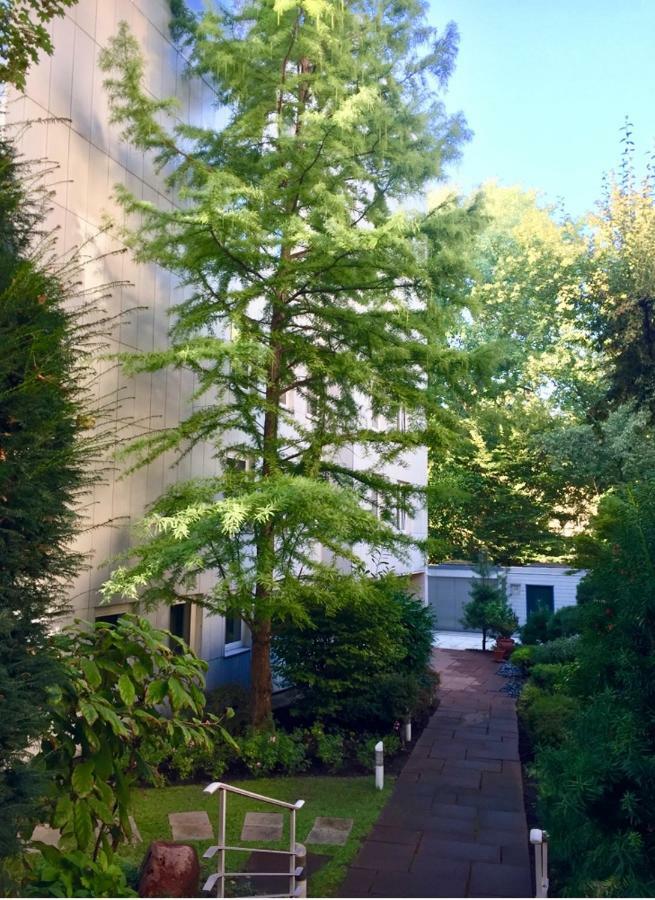 Apartment Centrum Im Gruenen Nürnberg Kültér fotó